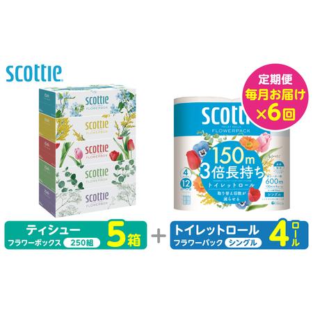 ふるさと納税 [定期便6回][毎月お届け][スコッティ] 組み合わせ ティシュー フラワーボックス 250組 5箱 計30箱 トイレットロール シング.. 熊本県八代市