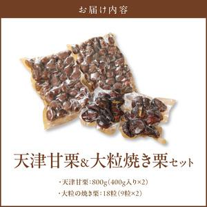ふるさと納税 【冷凍】天津甘栗800g＆大粒の焼き栗（18粒）セット 焼き