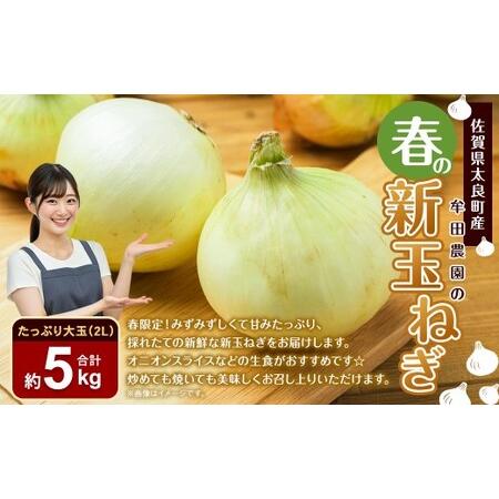 ふるさと納税 牟田農園の春の新玉ねぎ たっぷり大玉 5kg (2L) [2026年4月上旬〜6月上旬迄順次発送予定] たまねぎ タマネギ 野菜 新玉ねぎ 玉.. 佐賀県太良町