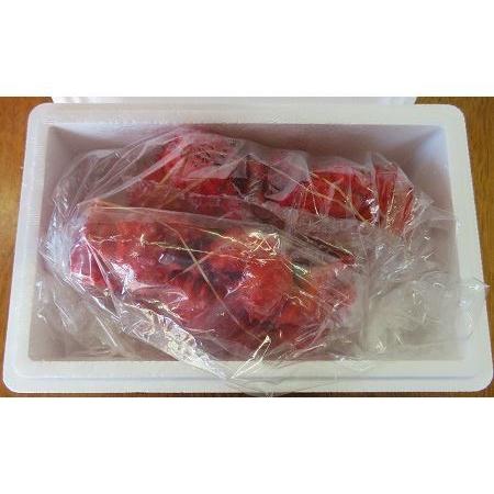 ふるさと納税 【北海道根室産】花咲ガニ2尾(計800g以上) B-59010 北海道根室市|furunavi|02