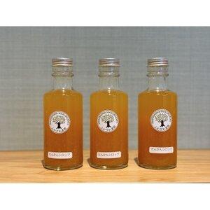 ふるさと納税 南国の太陽をギュッと閉じ込めた濃厚カクテルシロップ 柑橘香る[たんかんシロップ] A3-386[配送不可地域:離島][1695243] 鹿児島県枕崎市