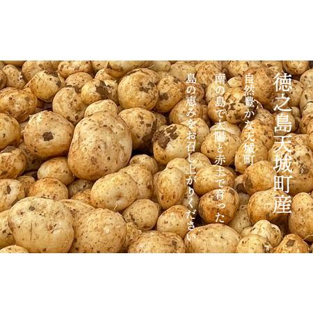 ふるさと納税 【農家直送】 【先行受付】徳之島 天城町産 赤土