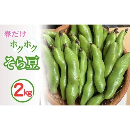 ふるさと納税 そら豆 2kg 京都 亀岡産 野菜 豆類 旬 春 京都府亀岡市