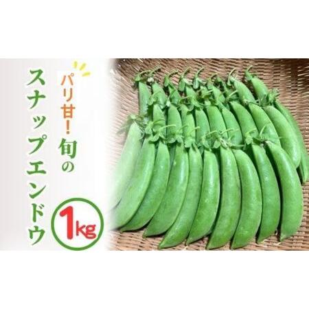 ふるさと納税 スナップエンドウ 1kg 京都 亀岡産 旬 春 野菜 京都府亀岡市