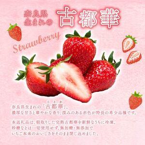 ふるさと納税 冷凍いちご（古都華）1kg【mbi01】 奈良県奈良市 : ふる