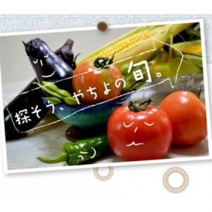 ふるさと納税 千葉県八千代市 農産物直売所手工芸品直送 旬の蔬菜仕かける【送りとどける不可領域：離島・沖縄県】【1700413】 千葉県八千代市