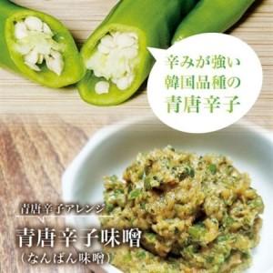 ふるさと納税 【宮城県産】生青唐辛子 龍の尾 2kgセット(500g×4袋)激辛韓国品種 西根の森|太良衛門【1702350】 宮城県の画像