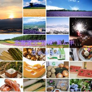 ふるさと納税 なかふらのインク〜涼青の夏〜（１瓶）【CD-013】 北海道中富良野町の画像
