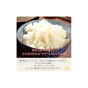 ふるさと納税 【3カ月定期便】コシヒカリ 10kg（茨城県共通返礼品・城里町産） / 米 こめ コメ お米 おこめ コシヒカリ こしひかり 白米 精米 ご.. 茨城県利根町
