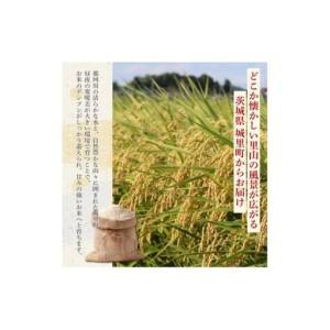 ふるさと納税 【3カ月定期便】コシヒカリ 10kg（茨城県共通返礼品・城里町産） / 米 こめ コメ お米 おこめ コシヒカリ こしひかり 白米 精米 ご.. 茨城県利根町