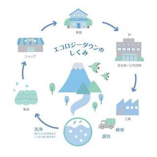 ふるさと納税 掛け布団 【甲州羽毛ふとん】サステナブルな軽量羽毛合掛け布団（シングル/アイボリー） ふとん 山梨県富士吉田市_3