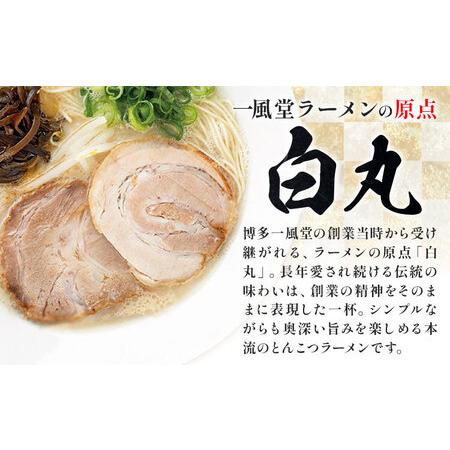 ふるさと納税 ラーメン 一風堂 白丸 ラー麦麺 20食 地域商社ふるさぽ《90日以内に出荷予定(土日祝除く)》福岡県 鞍手郡 小竹町 ラーメン とんこ.. 福岡県小竹町_1