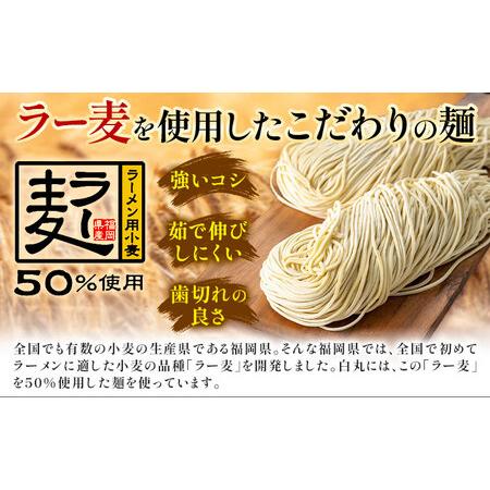 ふるさと納税 ラーメン 一風堂 白丸 ラー麦麺 20食 地域商社ふるさぽ《90日以内に出荷予定(土日祝除く)》福岡県 鞍手郡 小竹町 ラーメン とんこ.. 福岡県小竹町_3