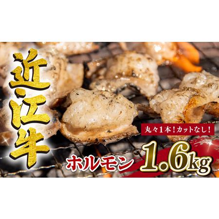 ふるさと納税 近江牛 ホルモン 1.6kg カットなし 滋賀県竜王町