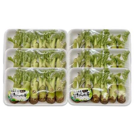 ふるさと納税 山菜の王様 鏡石の自然の恵み タラの芽 約300g（約50g×6） 山菜 野菜 食品 F6Q-468 福島県鏡石町の画像