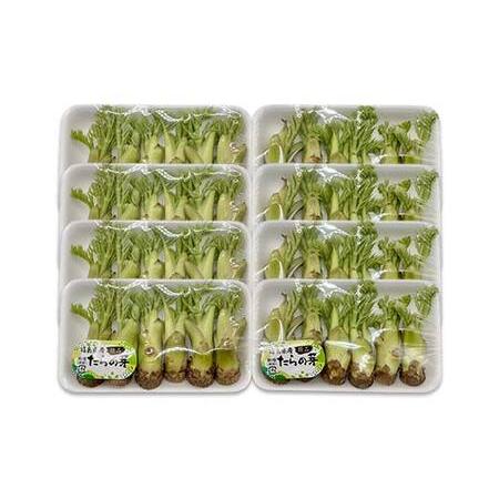 ふるさと納税 山菜の王様 鏡石の自然の恵み タラの芽 約400g（約50g×8） 山菜 野菜 食品 F6Q-469 福島県鏡石町の画像