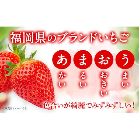 ふるさと納税 あまおう 出どころ直送 約250g×2風呂敷き包み 福岡県産 いちご 朝採れ ふくおかエコ農産物允許 苺 フルーツ オランダ苺 果物 くだもの 同盟罷業.. 福岡県志免町