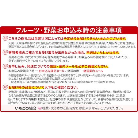 ふるさと納税 あまおう 出どころ直送 約250g×2風呂敷き包み 福岡県産 いちご 朝採れ ふくおかエコ農産物允許 苺 フルーツ オランダ苺 果物 くだもの 同盟罷業.. 福岡県志免町