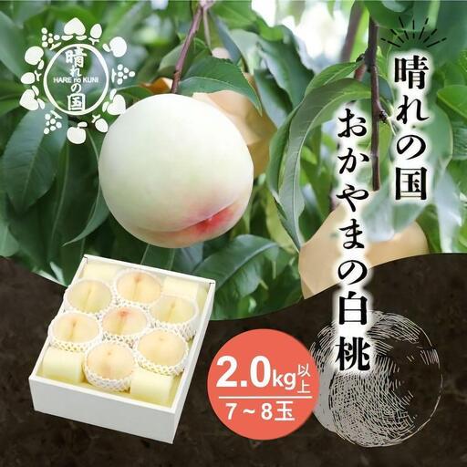 ふるさと納税 [先行予約] 白桃2.0kg以上(7〜8玉)[8月中旬〜9月上旬発送][021-a027] 岡山県鏡野町