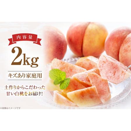 ふるさと納税 【期間限定発送】 桃 さくら白桃 訳あり 2kg 家庭用 [東城農園 山形県 高畠町 tk06ayt370005] 山形県高畠町の画像