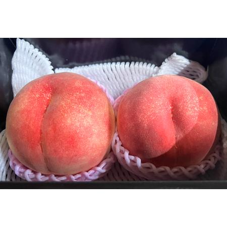 ふるさと納税 【期間限定発送】 桃 さくら白桃 訳あり 2kg 家庭用 [東城農園 山形県 高畠町 tk06ayt370005] 山形県高畠町の画像