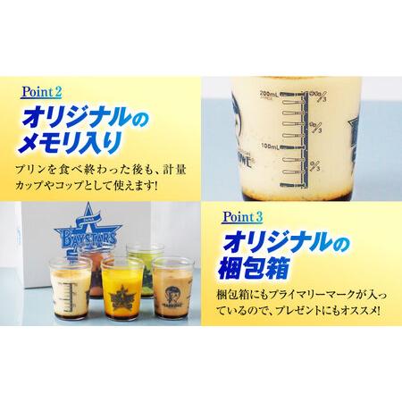 ふるさと納税 【先行予約】【2026年5月15日より順次お届け】【数量限定500セット】横浜DeNAベイスターズパッケージ おすすめプリン 5個セッ.. 神奈川県横須賀市の画像