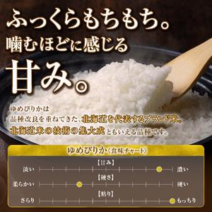 ふるさと納税 【定期便】【令和8年度産米】北海道産 ゆめぴりか 玄米 10kg 3回｜玄米 お米 北海道 石狩市 北海道石狩市