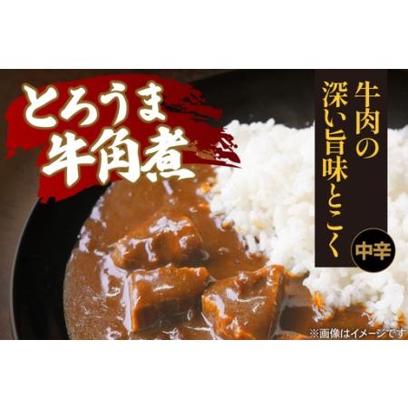 ふるさと納税 ハウス とろうま牛角煮カレー 中辛 10個 [翔栄通商 愛知県 江南市 ko23btu570039] 愛知県江南市_1