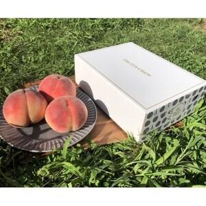 ふるさと納税 [とろり上品な甘みの麗しき夏優美]本場山梨の品種指定約2kg 6月中旬より順次発送[配送不可地域:離島・北海道・沖縄県・中国・.. 山梨県山梨市