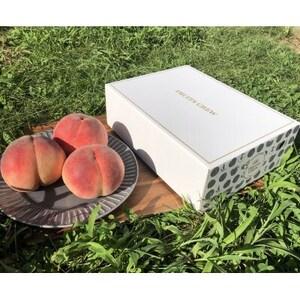 ふるさと納税 [山梨生まれ激レア品種 夢桃香]本場山梨品種指定約2kg 6月下旬より順次発送[配送不可地域:離島・北海道・沖縄県・中国・四国.. 山梨県山梨市