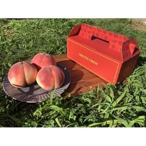 ふるさと納税 [むっちり高糖度夏の甘味王 嶺鳳]本場山梨の品種指定キャンペーンお試し約1kg 7月上旬より順次発送[配送不可地域:離島・北海.. 山梨県山梨市