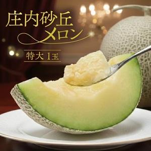 ふるさと納税 SA2890 特大庄内砂丘メロン(青肉) 2.2〜2.5kg 1玉 つる付き 山形県酒田市