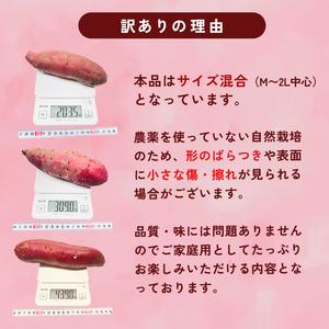 ふるさと納税 【2027年1月以降発送】 【訳あり】 舞鶴産 熟成さつまいも 5kg （紅はるか） 無選別 M〜2L混合 京都府舞鶴市の画像