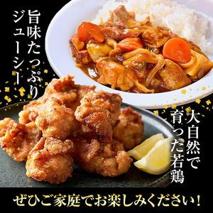 ふるさと納税 【6ヶ月定期便】 九州産若鶏もも肉 計14.88kg 約310g×8袋 肉 お肉 鶏肉 若鶏 もも肉 唐揚げ てりやき チキンカレー 棒々鶏 煮.. 熊本県菊池市の画像