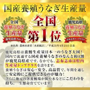 ふるさと納税 うなぎの大楠＜中＞4尾セット計520g(130g&times;4) うなぎ 鰻 ウナギ 4尾 国産 九州産 蒲焼き かばやき 冷凍 うな重 ひつまぶし.. 鹿児島県志布志市