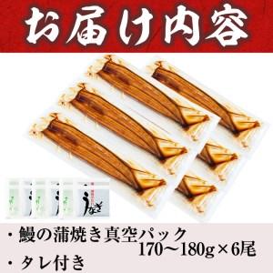 ふるさと納税 ＜入金確認後、2週間以内に発送！＞うなぎの大楠＜特大＞6尾セット計1kg超(170g×6) d5-001-2w 鹿児島県志布志市｜furunavi｜05