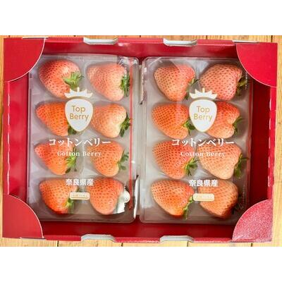 ふるさと納税 コットンベリー ゆりかーご 約1000g(250g×4pc) 奈良県奈良市