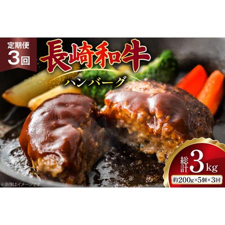 ふるさと納税 AJ586 [3回定期便]長崎和牛 ハンバーグ 約1kg (200g×5個) [ まるしん商会 長崎県 島原市 ] 長崎県島原市