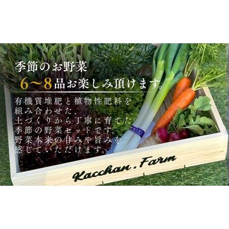 ふるさと納税 【定期便3ヶ月】季節の野菜詰め合わせ Aセット 野菜食べ比べ 旬の野菜 野菜セット定期便 | 石川県 小松市【Kacchan.Farm】 石川県小松市_1
