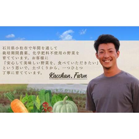 ふるさと納税 【定期便3ヶ月】季節の野菜詰め合わせ Aセット 野菜食べ比べ 旬の野菜 野菜セット定期便 | 石川県 小松市【Kacchan.Farm】 石川県小松市_2