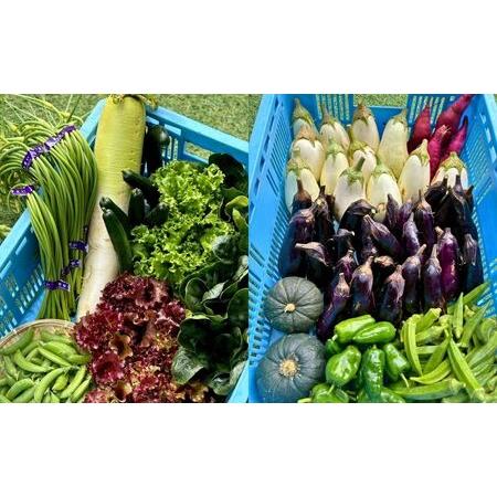 ふるさと納税 【定期便3ヶ月】季節の野菜詰め合わせ Aセット 野菜食べ比べ 旬の野菜 野菜セット定期便 | 石川県 小松市【Kacchan.Farm】 石川県小松市_3