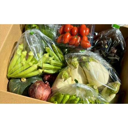 ふるさと納税 【定期便3ヶ月】季節の野菜詰め合わせ Aセット 野菜食べ比べ 旬の野菜 野菜セット定期便 | 石川県 小松市【Kacchan.Farm】 石川県小松市_4