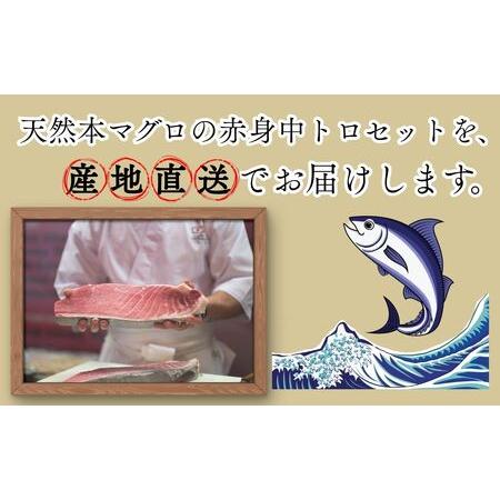 ふるさと納税 【出荷時期：7月上旬〜】本マグロ 赤身 中トロ 各1柵 セット 国産 本鮪[fu-0027-002] 青森県深浦町_1