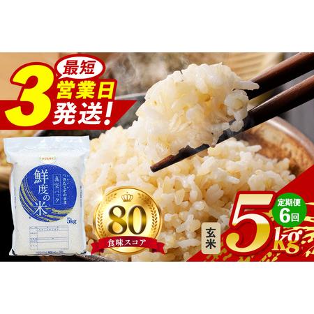 ふるさと納税 【定期便6回】こしひかり 玄米 5kg (計30kg) 真空パック