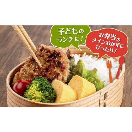ふるさと納税 マルシンのお惣菜 5種のお楽しみセット 【有限会社丸伸商事】 コロッケ ハンバーグ メンチカツ 自家製豚肉ちまき 自家製ねぎ肉.. 神奈川県横須賀市_2