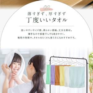 ふるさと納税 コーマカラーフェイスタオル4枚セット（シトロンイエロー） 大阪府泉佐野市_4