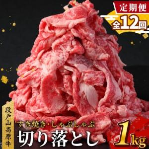 ふるさと納税 [全12回 定期便] 段戸山高原牛 切り落とし 1kg (200g×5)定期便 牛肉 肉 国産牛 焼肉 すき焼き しゃぶしゃぶ 不揃い 冷凍 .. 愛知県設楽町