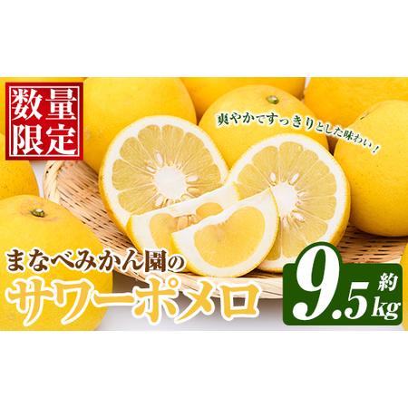 ふるさと納税 まなべみかん園のサワーポメロ (約9.5kg) 国産 鹿児島県産 阿久根市産 柑橘類 みかん ミカン 蜜柑 果物 フルーツ サワーポメロ.. 鹿児島県阿久根市