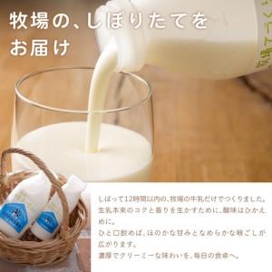 ふるさと納税 【定期12ヶ月】のむヨーグルト 500g ×6 SKB050 北海道鹿追町_1