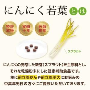 ふるさと納税 ＜健康補助食品＞にんにく若葉 60粒（30日分） R04001 大分県大分市_1